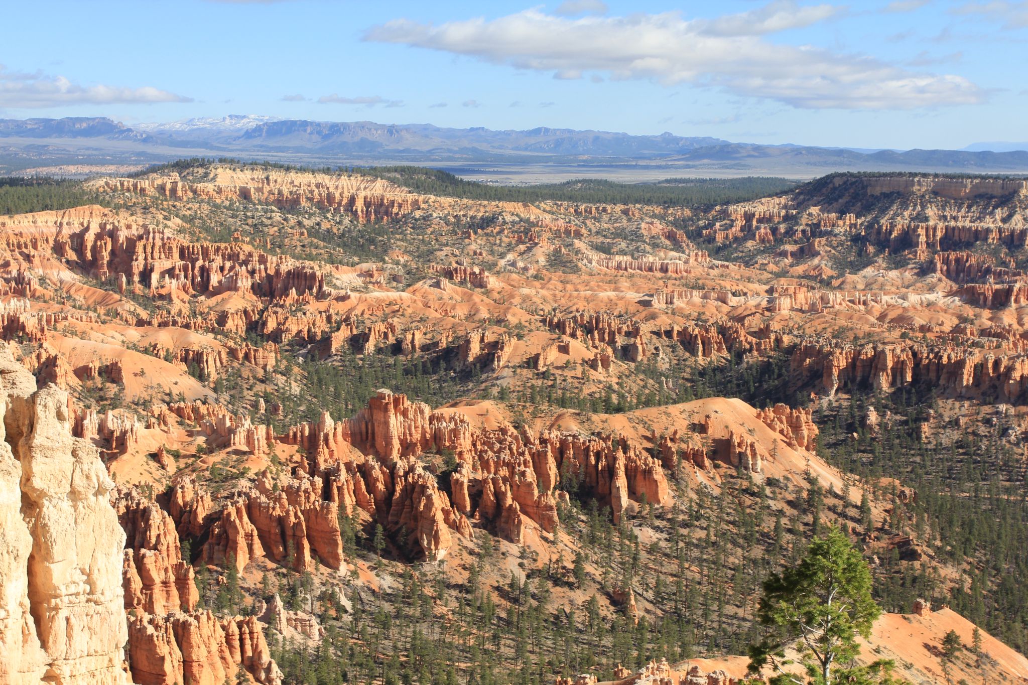 IMG 2711   Copie (2)